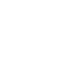 Details Icon