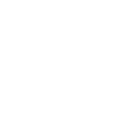 Details Icon