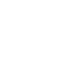 Details Icon
